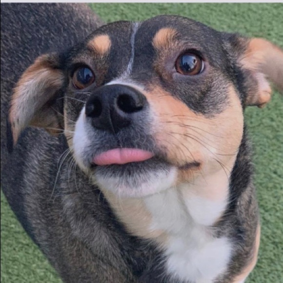 Meet your Posher, Juliana - Picture 1 of 1